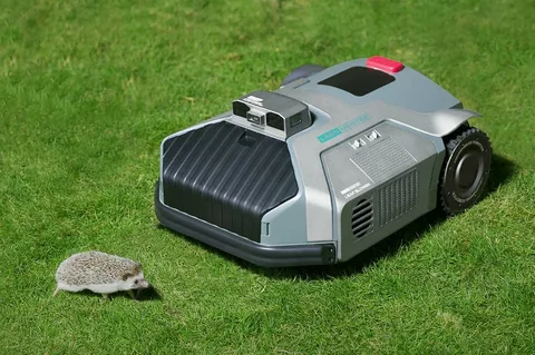 Are Robot Lawn Mowers Worth It for a 1 Acre Yard?