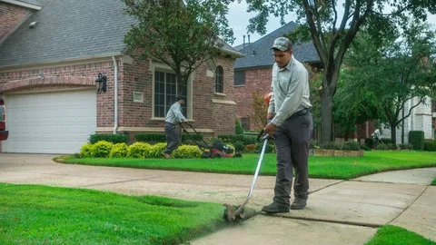 Skilled Yard Maintenance Near Me for Healthy Grass